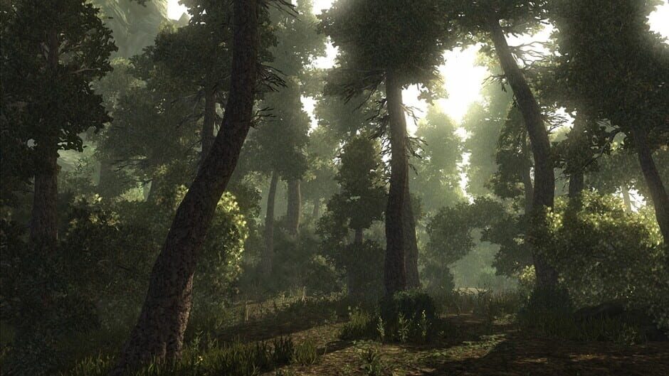 Screenshot from Risen