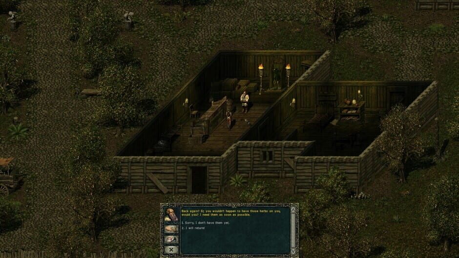 Screenshot from Divine Divinity