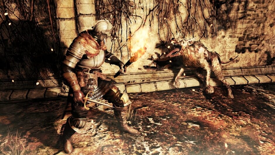 Screenshot from Dark Souls II
