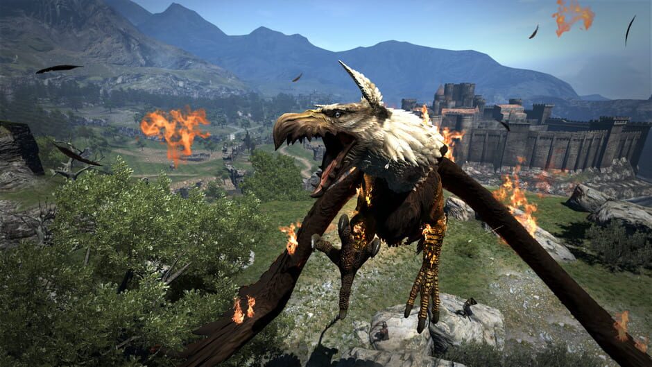 Screenshot from Dragon's Dogma: Dark Arisen